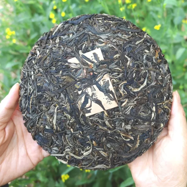 2023 "Bing Dao" Ancient Tree Raw Pu Erh Tea Cake(357g)