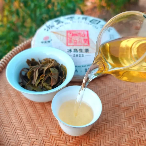 2023 "Bing Dao" Ancient Tree Raw Pu Erh Tea Cake(357g)