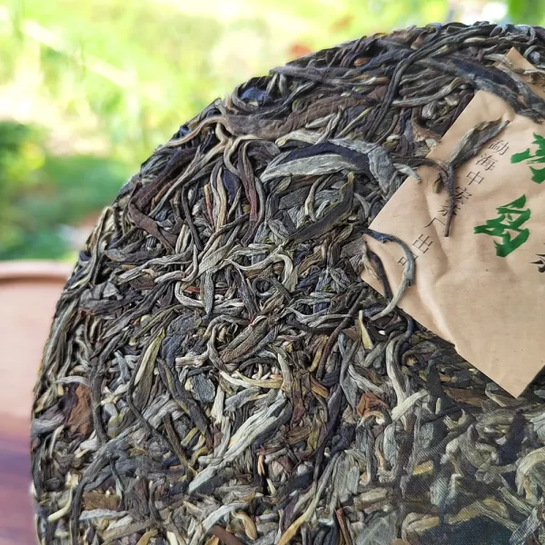 2021 "Bing Dao" Ancient Tree Raw Pu Erh Tea Cake