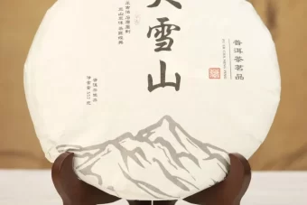 2018 Big Snow Mountain Raw Pu Erh Tea （357g)